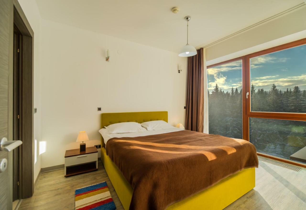 Timber View Apartment Silver Mountain פויאנה ברשוב מראה חיצוני תמונה